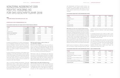 Polytec - Konzernlagebericht