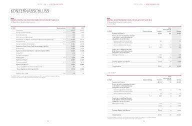 Polytec - Konzernabschluss