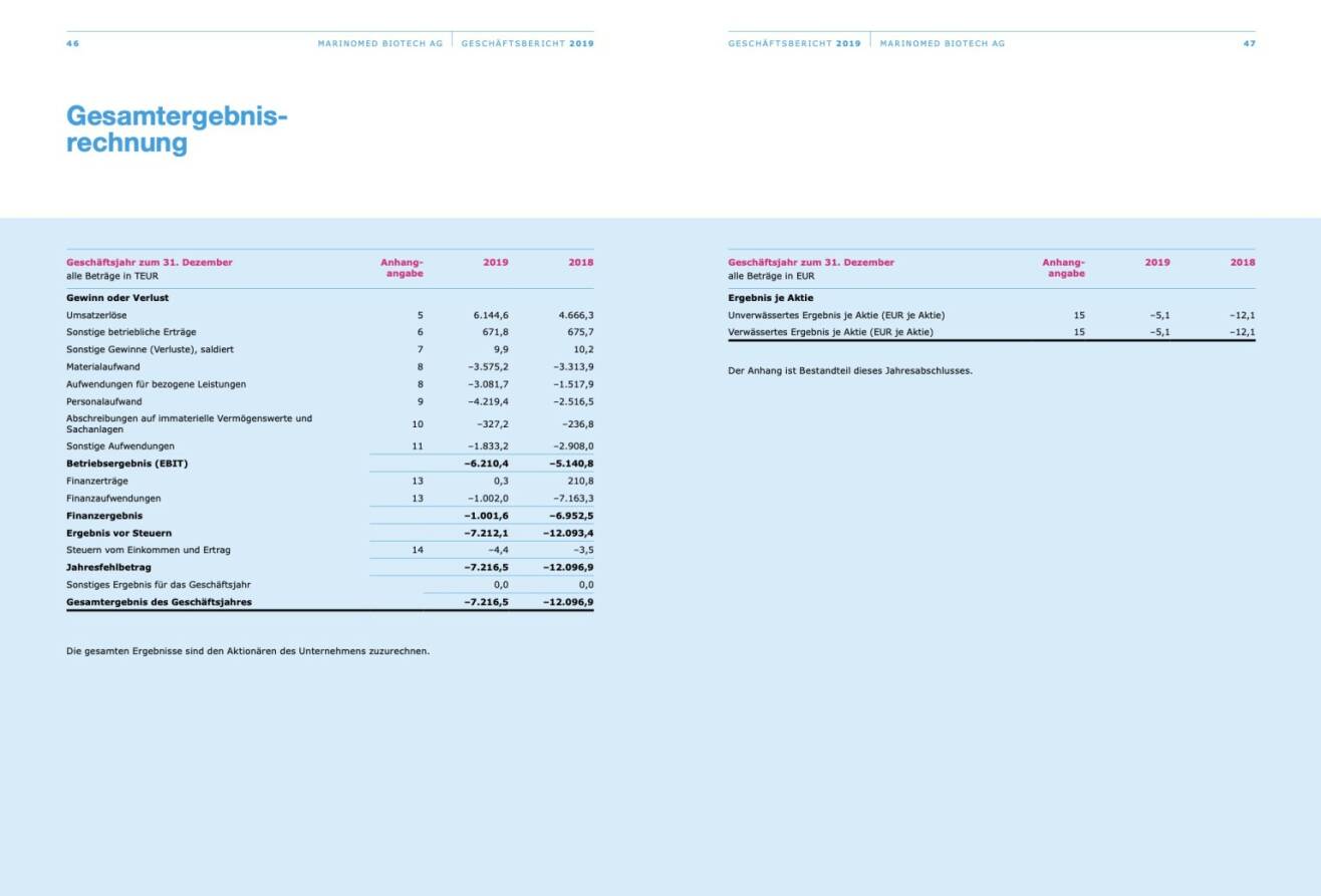 Doppelseite Marinomed Geschäftsbericht 2019