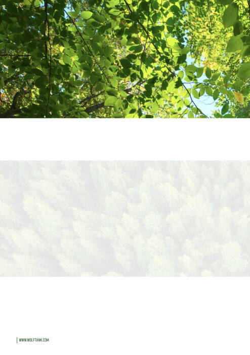 Rückseite Wolftank Nachhaltigkeitsbericht Geschäftsjahr 2020