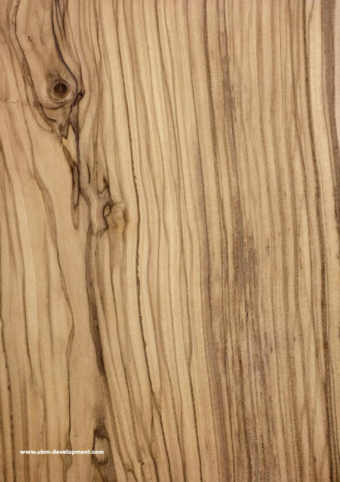 Rückseite UBM Geschäftsbericht 2021