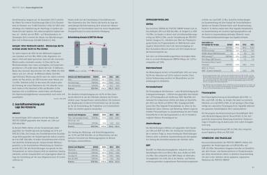 Polytec Geschäftsbericht 2013